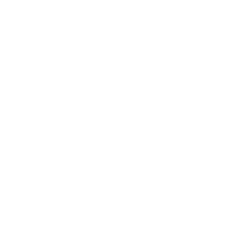 Wellingtons